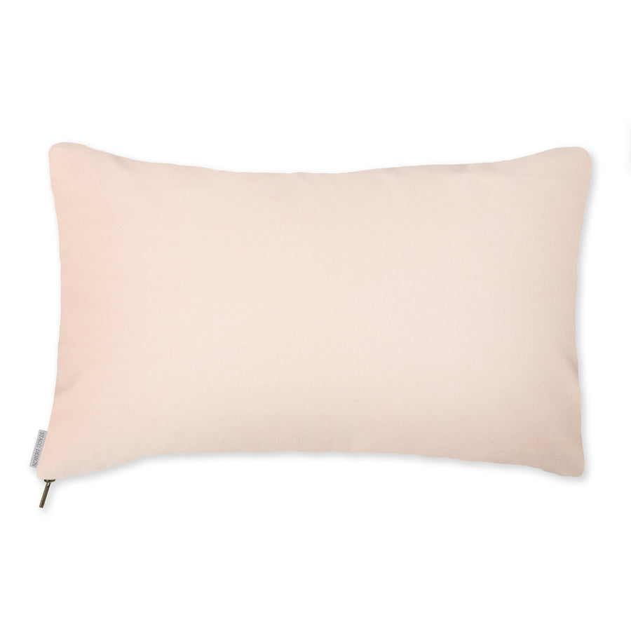Powder Pink Velvet Pillow