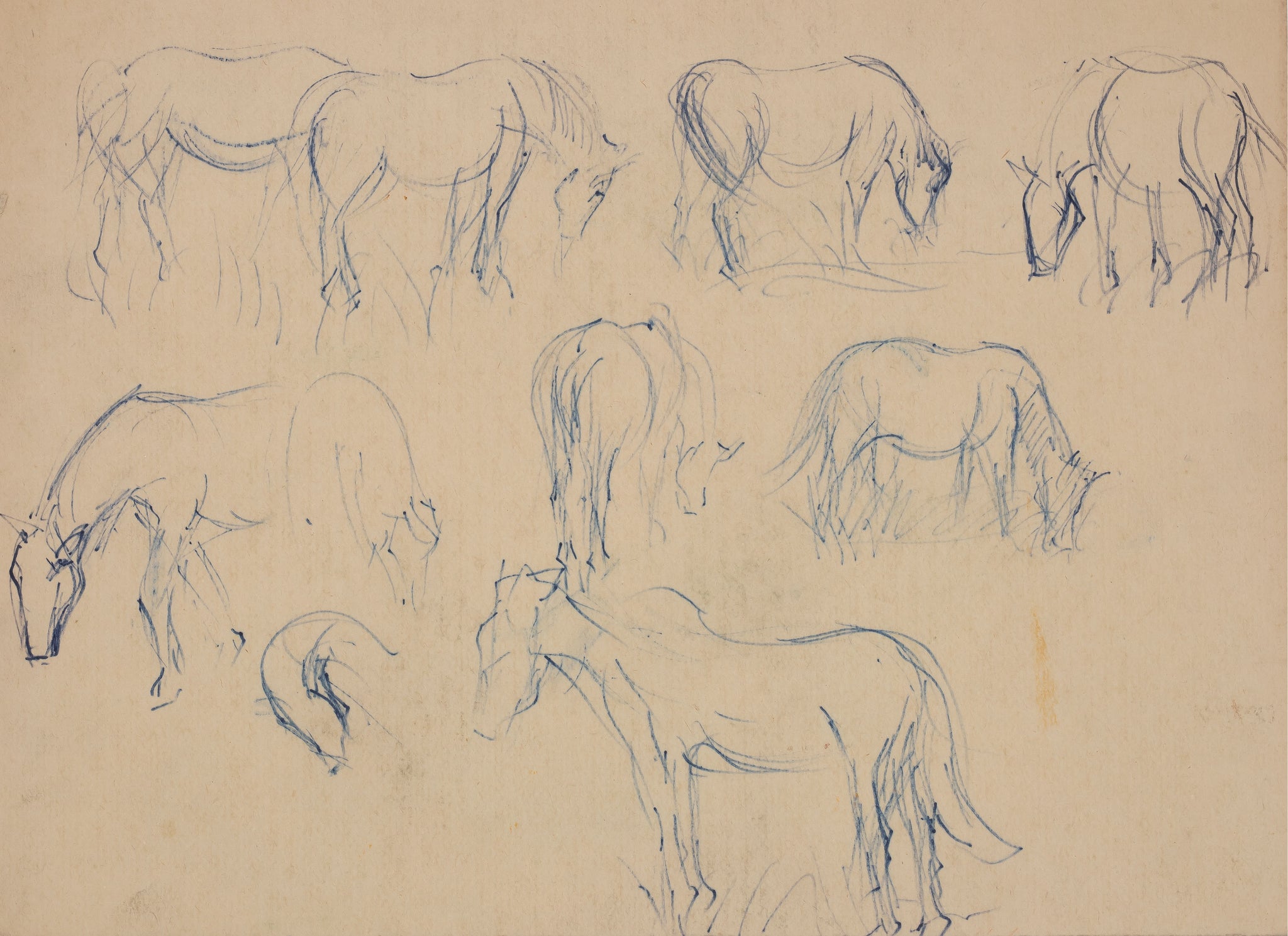 Stallion Sketch Vintage Art Print